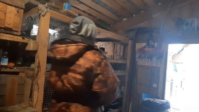 Вечерний обзорчик КРОЛИКОВ смотреть онлайн