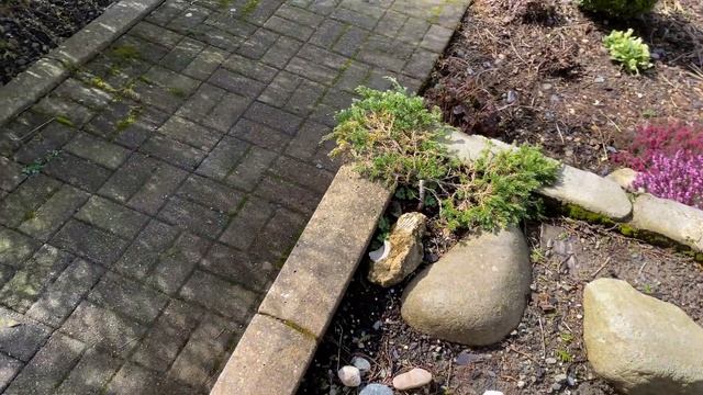 211. САД СЕЙЧАС, НАШ ДОМ С ЦВЕТУЩИМ РОДОДЕНДРОНОМ, СОЛНЕЧНАЯ БАТАРЕЯ ДЛЯ ПРУДА И МОИ ФОТОГРАФИИ. смотреть онлайн