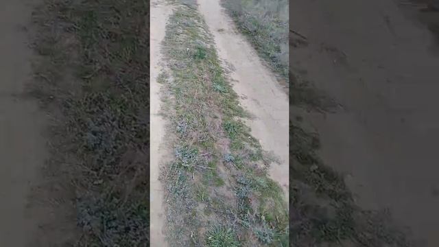 МАГИЧЕСКАЯ РАБОТА НА ПЕРЕКРЕСТКАХ. смотреть онлайн