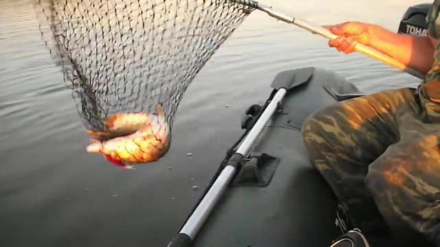 Вечерняя зорька смотреть онлайн