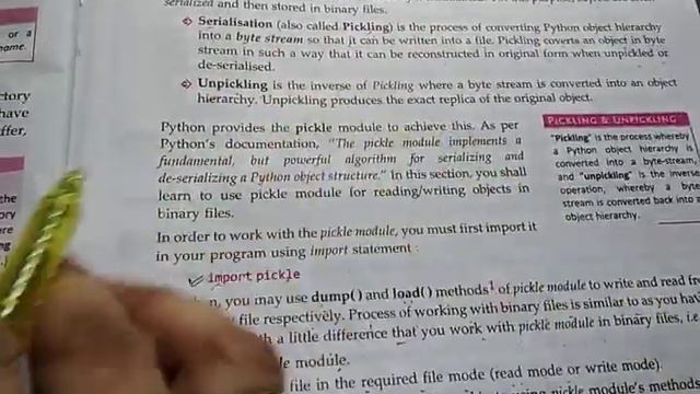 Class -12 chapter-5 File handling part -6 Working with binary files смотреть онлайн