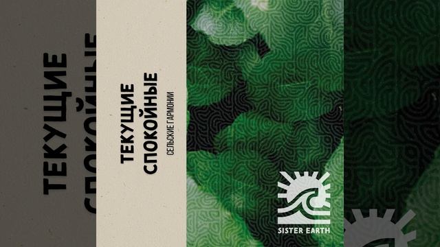 Цветущий Луг смотреть онлайн