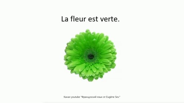 Французский язык от Eugène Sev. Couleurs 2. Как сказать цвет вещи . Цвета во французском языке. смотреть онлайн