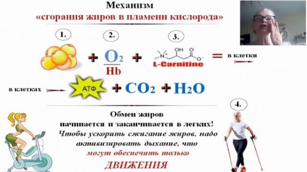 Роль пищевых жиров в механизме легочного дыхания - Байкулова Н.Г. - РоЗ