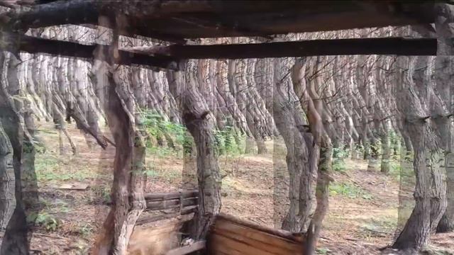 ЗАПЕРЛИ В ПОДВАЛЕ. Заброшенная секретная лаборатория. ЗАМКНУТАЯ ПЕТЛЯ.5 ЧАСТЬ. смотреть онлайн