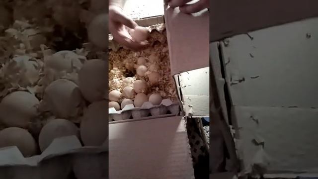 Почта емс смотреть онлайн