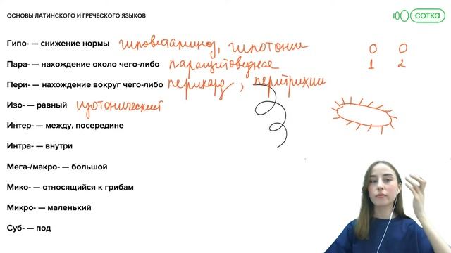 Латинский и греческий языки на ЕГЭ 2022 | ЕГЭ БИОЛОГИЯ 2022 | Онлайн-школа СОТКА смотреть онлайн