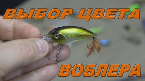 Выбор цвета воблера.mp4