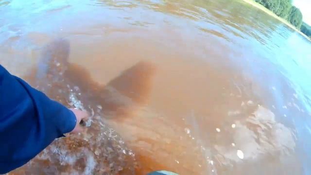 Ловля хариуса на кораблик. Река Косьва. смотреть онлайн