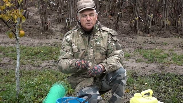 Как ухаживать за садом осенью смотреть онлайн