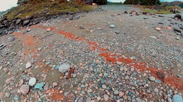Рублёвское заречье, Элекмонар. Осень на Алтае 2018 Serditov Days смотреть онлайн