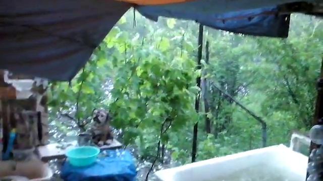 Град в Кривом Роге 17.05.14 смотреть онлайн