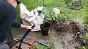 Продувка скважины