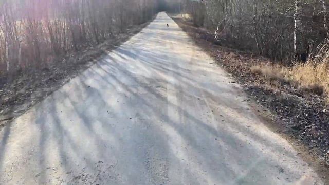 Первый лёд на Рузе 17 ноября / Коптим окушков в чугунном котелке смотреть онлайн