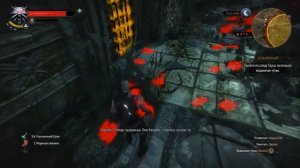 [Прохождение Ведьмак 3] - Цири на Скеллиге - #48