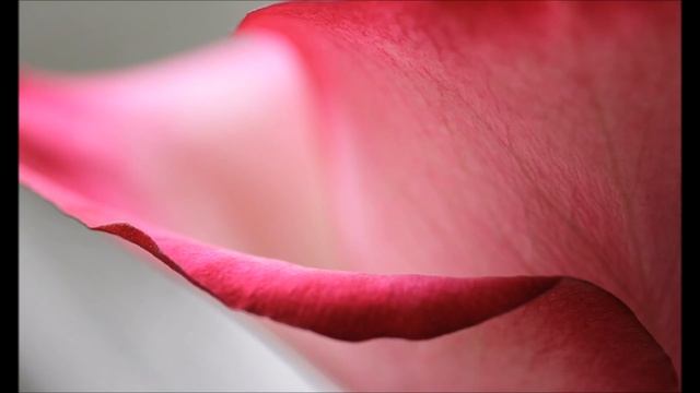 Meditation Music Sitar- Sahaja Yoga