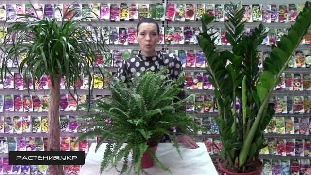 Готовка в Кемпинге и на Походах