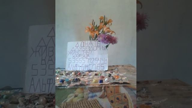 Портальная гипертония! смотреть онлайн