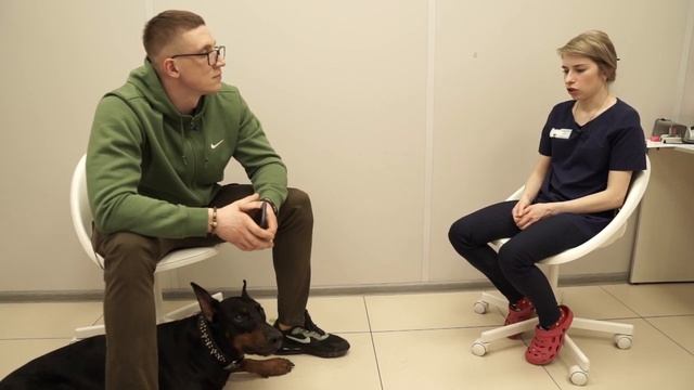 Сухой корм или натуралка | ЧЕМ КОРМИТЬ СОБАКУ смотреть онлайн