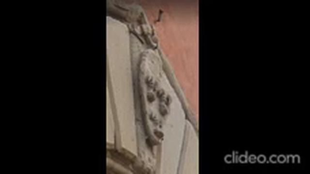 Lo stemma dei Villani in Via Pacini a Pistoia смотреть онлайн
