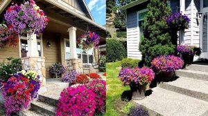 ?Оригинальные идеи благоустройства и украшения садового участка / Beautiful Garden Ideas / A - Vide