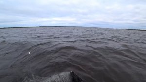 ПРОМЫСЛОВАЯ ЛОВЛЯ СЕМГИ / РЫБАЛКА СЕТЯМИ / Fishing for salmon