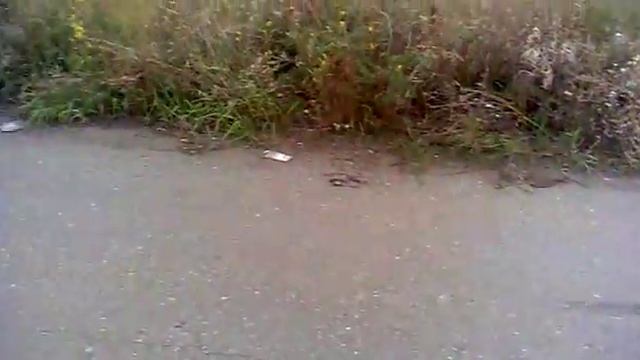 Dragon на мото днепр-11 (тяжелый мото) смотреть онлайн