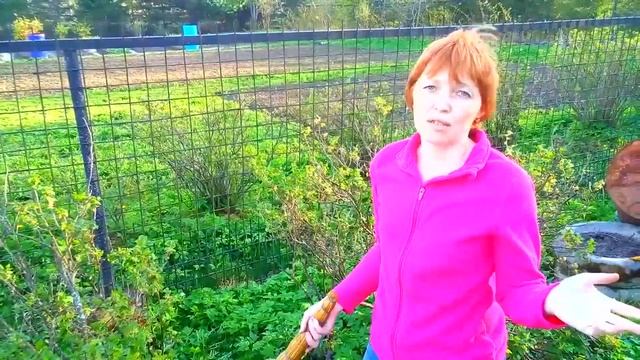 Надёжная защита от тли. смотреть онлайн