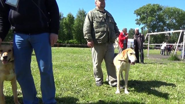 Выставка в Котласе 2017. РГ- 1гр. смотреть онлайн