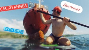 САП ЭКСПЕДИЦИЯ к контейнеровозу "САСКО АНИВА" стоящему на рейде Бухты Тихой Владивосток