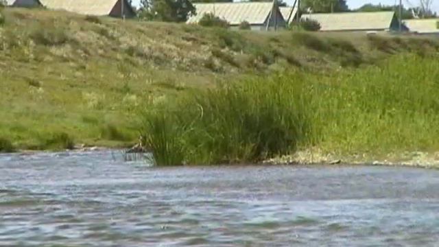 Денисовка смотреть онлайн