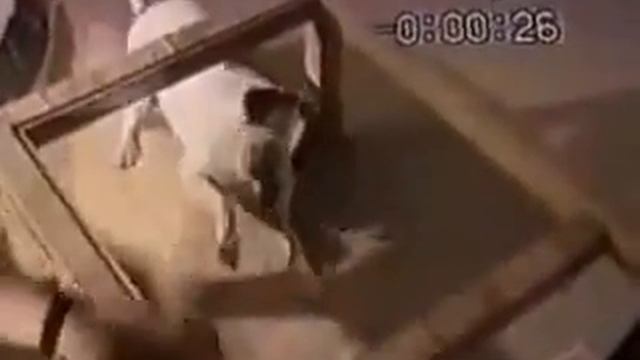 сборник приколов,ржач смотреть онлайн