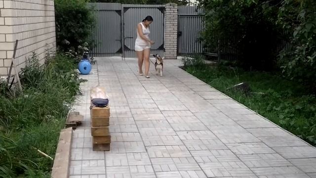 Занятие2 смотреть онлайн