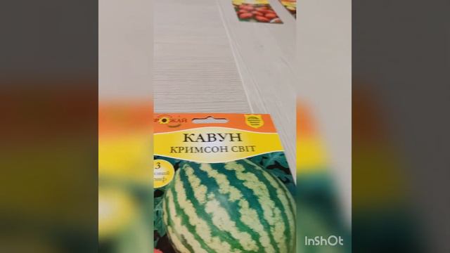 Відео огляд насіння моркви , помідорів, кавунів і дині. Алла Гончарук "Будні сільського підприємця" смотреть онлайн