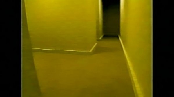 Backrooms - Damage Control