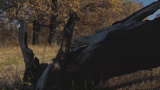 Бумер 2 смотреть онлайн