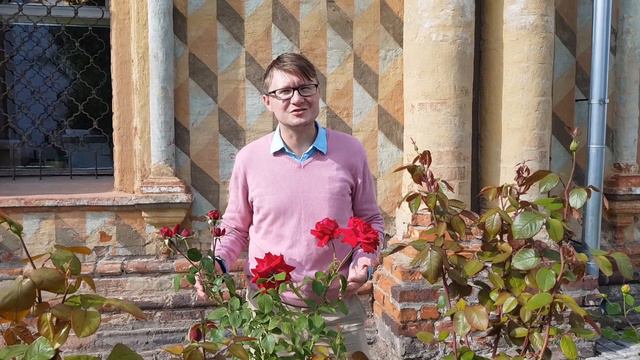 "В саду" смотреть онлайн