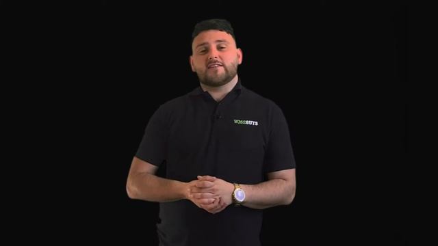 WiseGuys Support смотреть онлайн