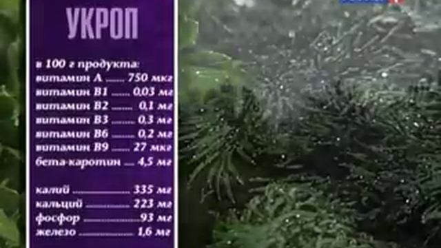 Укроп, петруша и другая зелень: полезные и вредные свойства смотреть онлайн