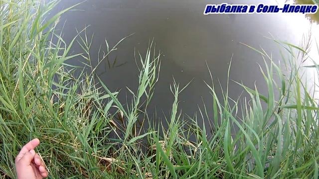 РЫБАЛКА на реке Илек ГОЛАВЛЬ НА ДОНКУ смотреть онлайн