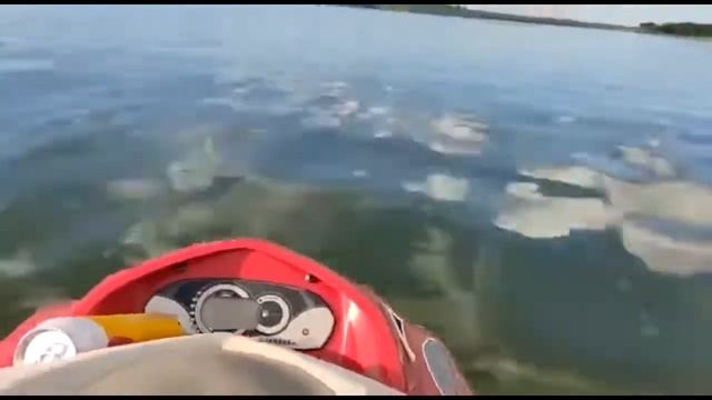 PRIMEIRO VIDEO DE JET SKI NO CANAL! YAMAHA VX 1100 SPORT смотреть онлайн