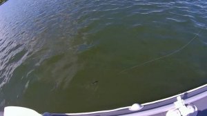 Лодка Таймень 3600 LX нднд с мотором Hangkai 6