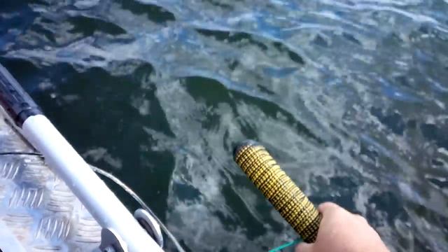 подъемы сома на эхолоте на квок смотреть онлайн