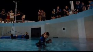 История дельфина 2 (0+)