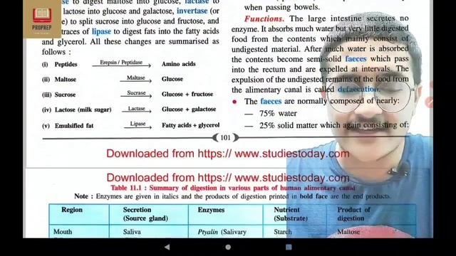 KVPY SA Revision Series : Day 7 | Photosynthesis, Digestive, Nervous, Skeletal Systems смотреть онлайн