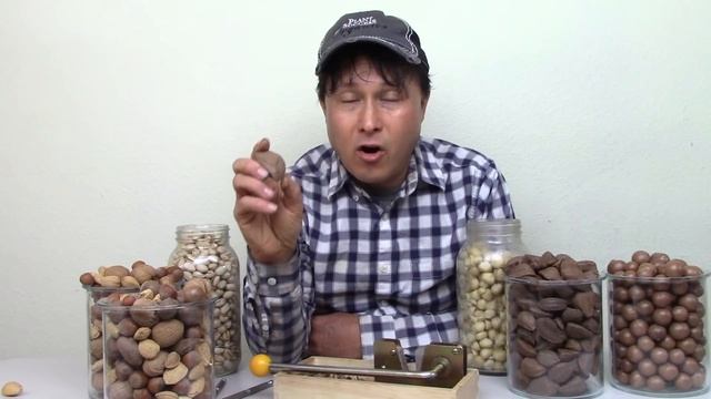 10 Reasons to Never Buy Nuts Out of the Shell | InShell Nut Benefits смотреть онлайн