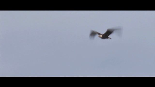 SANGEERTHANANGAL (PSALM) 122 смотреть онлайн