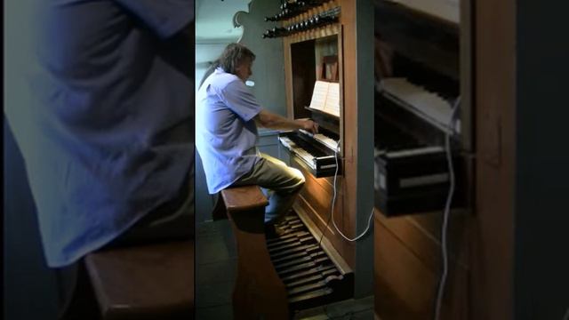 J. Worp - Voorspel en Koraal Psalm 133 - Gerard van Reenen, orgel смотреть онлайн