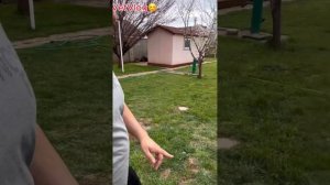 Пришла весна 🤓