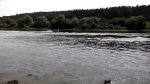 Лодка Автобот под мотором Tohatsu 9.8 л.с.